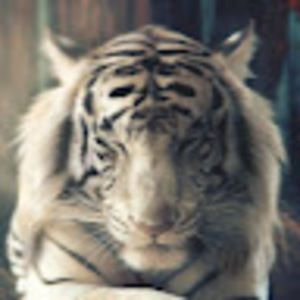 Meet your Posher, Rocio roberta